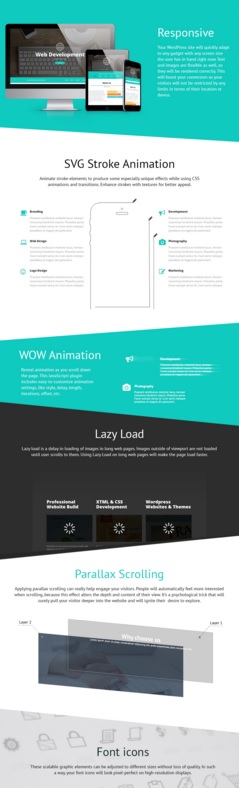 Web Development theme